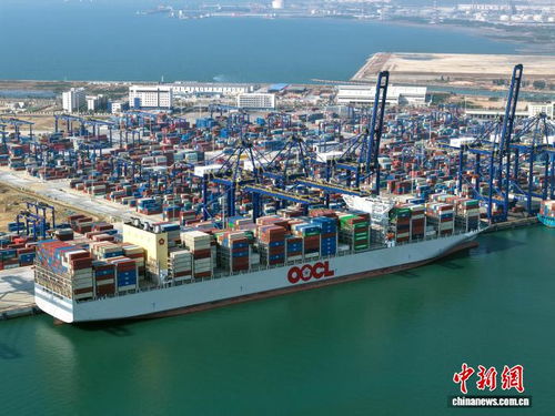 海南封關(guān)看變化 洋浦港打通一袋貓砂出海堵點(diǎn)，海空自貿(mào)海外倉崛起